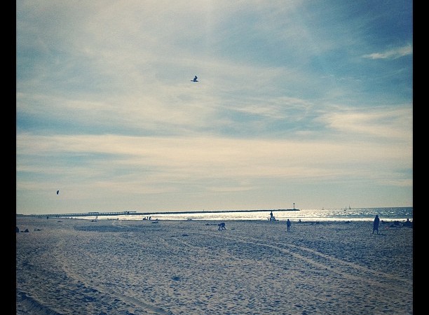 Instagram of the Week- Mission Beach Instagram of the Week- Mission Beach